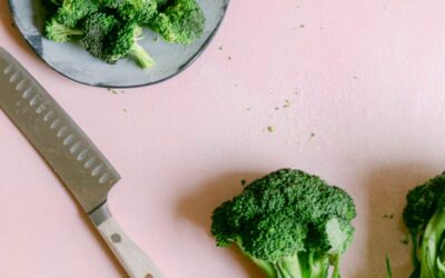 Actividades Físico Deportivas dirigidas