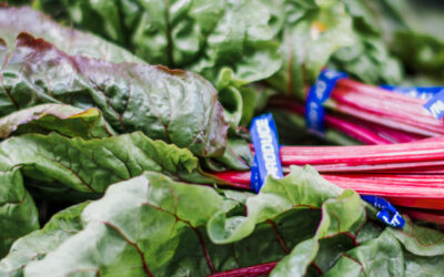 Actividades deportivas dirigidas. Reserva en sesión en clases abiertas