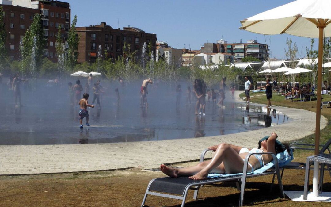 Cien años de debate sobre la vitamina D: ¿de verdad necesitamos suplementar nuestra dieta?