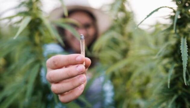 ¿Aumenta el consumo de cannabis el riesgo de sufrir psicosis?
