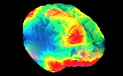 Qué nos enseña la neurociencia sobre el placer (y por qué podemos desear algo que no nos gusta)